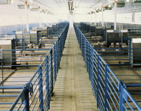 VetEx
